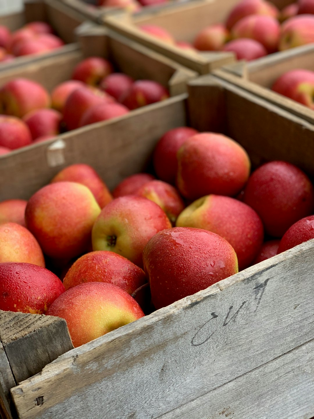 Fresh red and yellow apples overflowing in wooden crates.